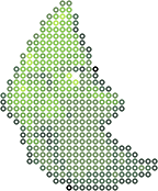 铁甲蛹 bead pattern