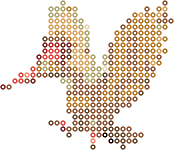 大嘴雀 bead pattern