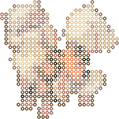 风速狗 bead pattern